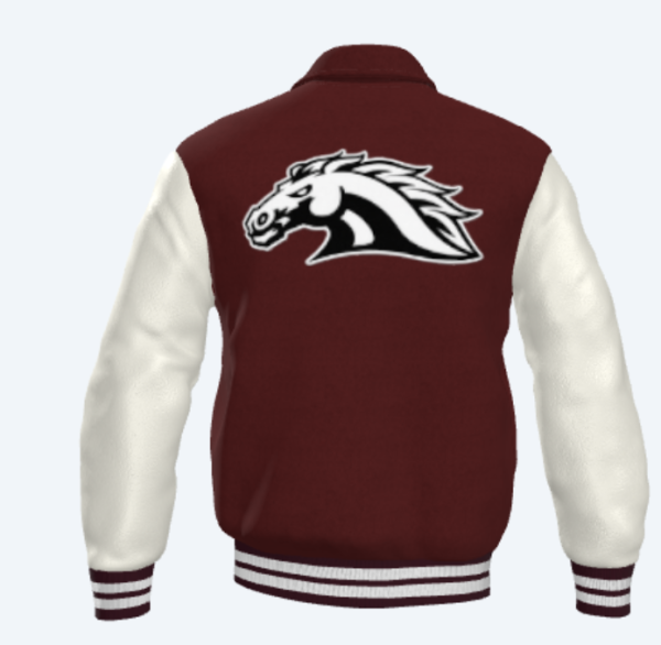 Western Hills High School